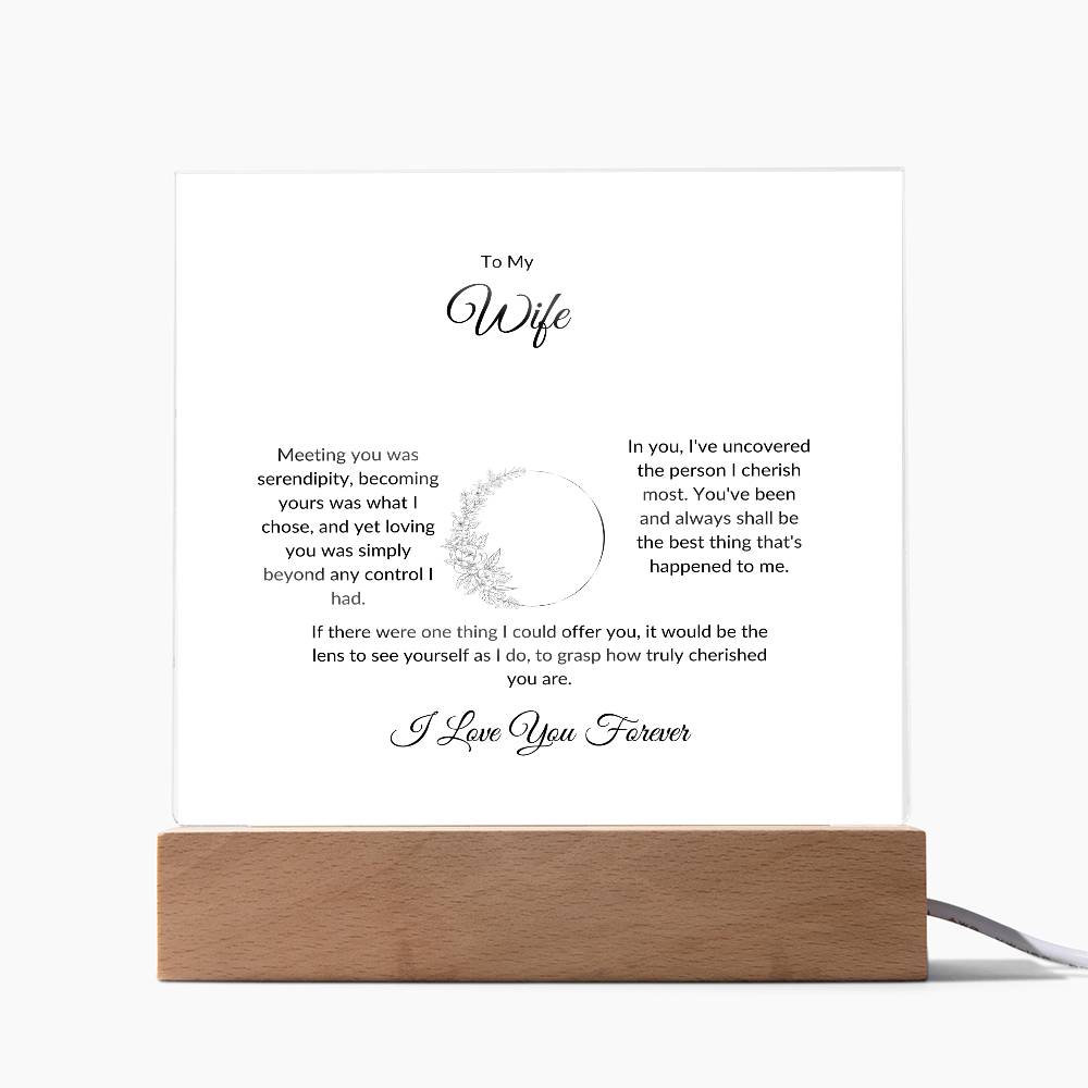 To My Wife Meeting You Was Serendipity Printed Square Shaped Acrylic Plaque-Express Your Love Gifts