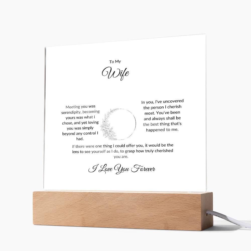 To My Wife Meeting You Was Serendipity Printed Square Shaped Acrylic Plaque-Express Your Love Gifts