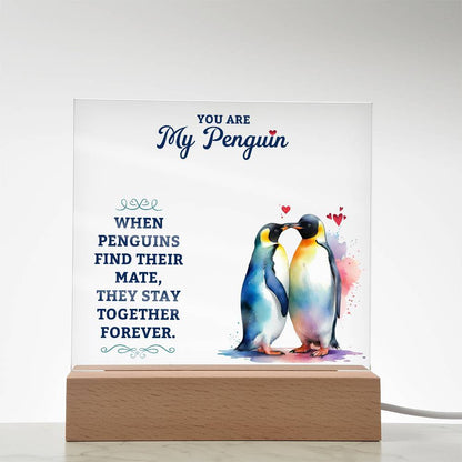To My Man You are My Penguin Printed Square Shaped Acrylic Plaque-Express Your Love Gifts