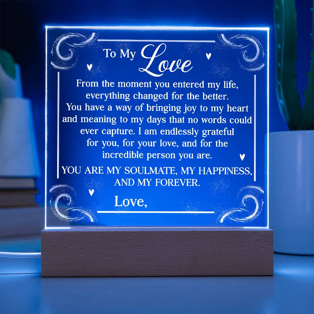 Personalized You Are My Soulmate Printed Square Shaped Acrylic Plaque-Express Your Love Gifts