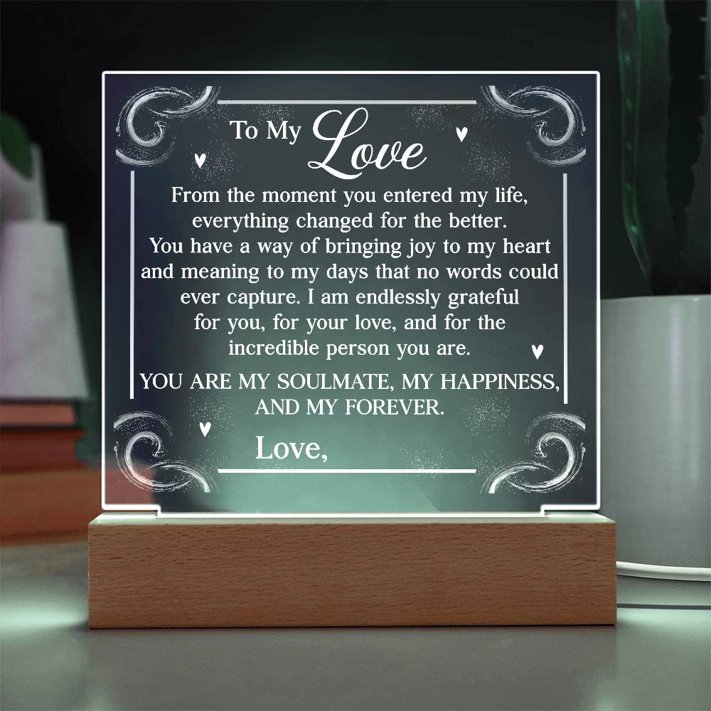 Personalized You Are My Soulmate Printed Square Shaped Acrylic Plaque-Express Your Love Gifts