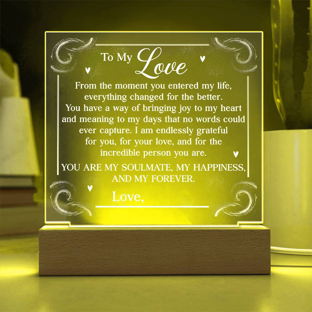 Personalized You Are My Soulmate Printed Square Shaped Acrylic Plaque-Express Your Love Gifts
