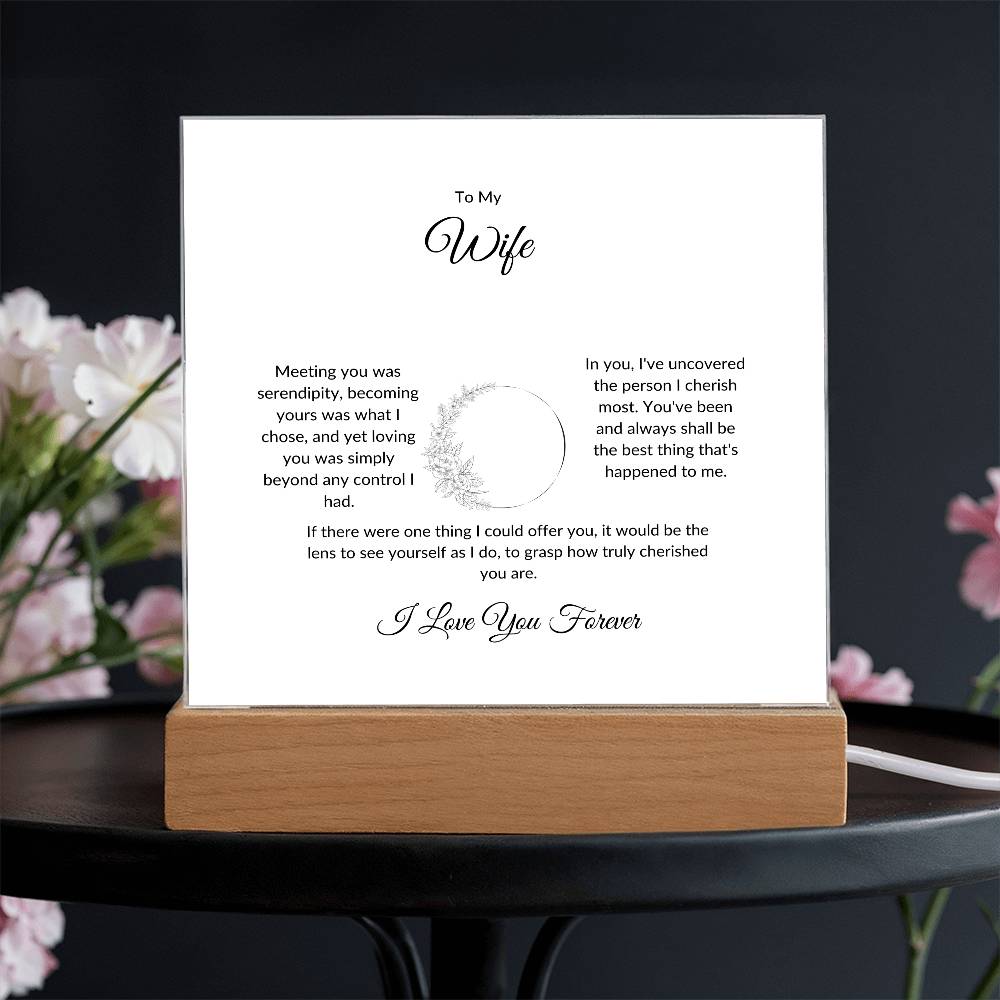 To My Wife Meeting You Was Serendipity Printed Square Shaped Acrylic Plaque-Express Your Love Gifts