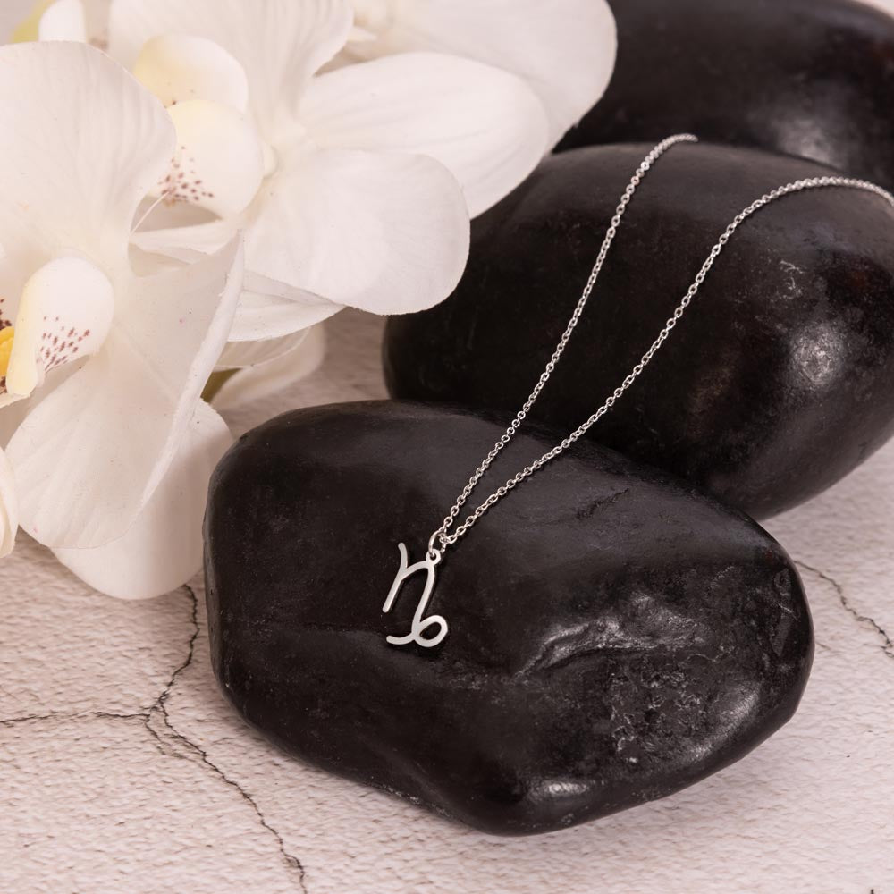To My Lovely Capricorn Sister Zodiac Name Necklace-Express Your Love Gifts