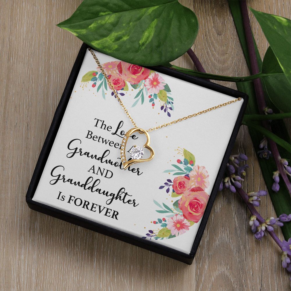The Love Between a Grandmother and Granddaughter Forever Necklace w Message Card-Express Your Love Gifts