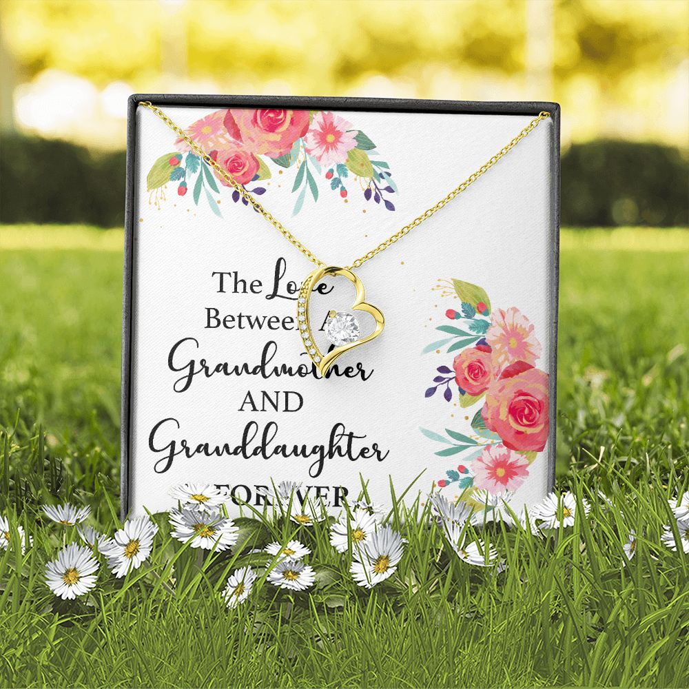 The Love Between a Grandmother and Granddaughter Forever Necklace w Message Card-Express Your Love Gifts