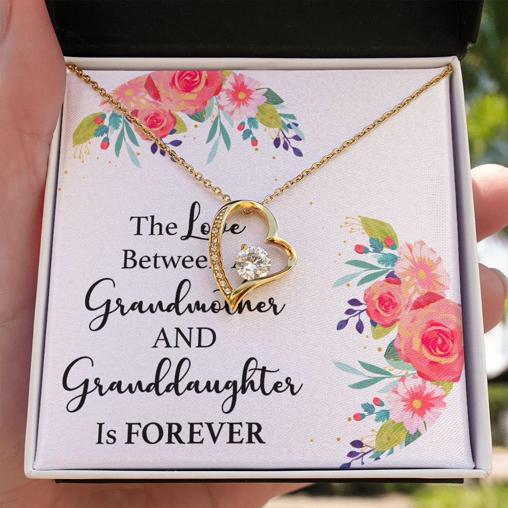 The Love Between a Grandmother and Granddaughter Forever Necklace w Message Card-Express Your Love Gifts