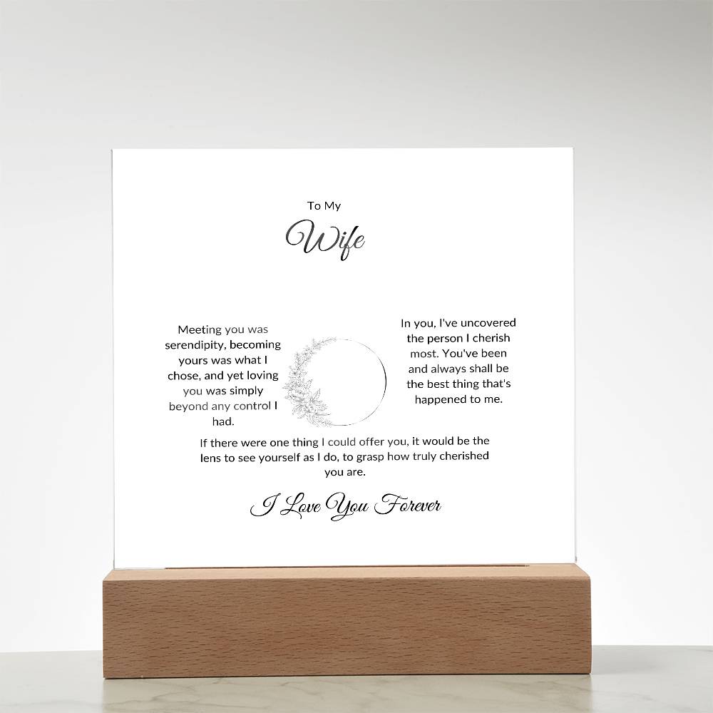 To My Wife Meeting You Was Serendipity Printed Square Shaped Acrylic Plaque-Express Your Love Gifts