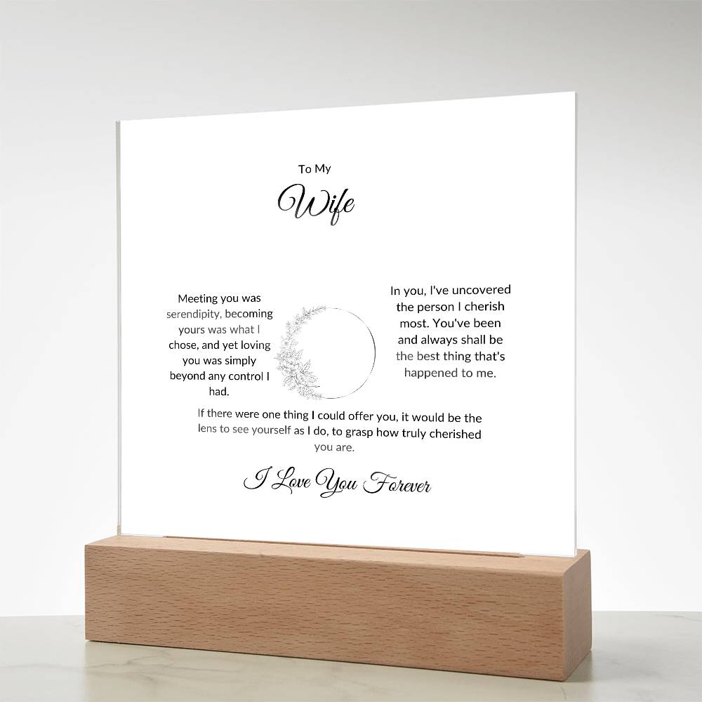 To My Wife Meeting You Was Serendipity Printed Square Shaped Acrylic Plaque-Express Your Love Gifts