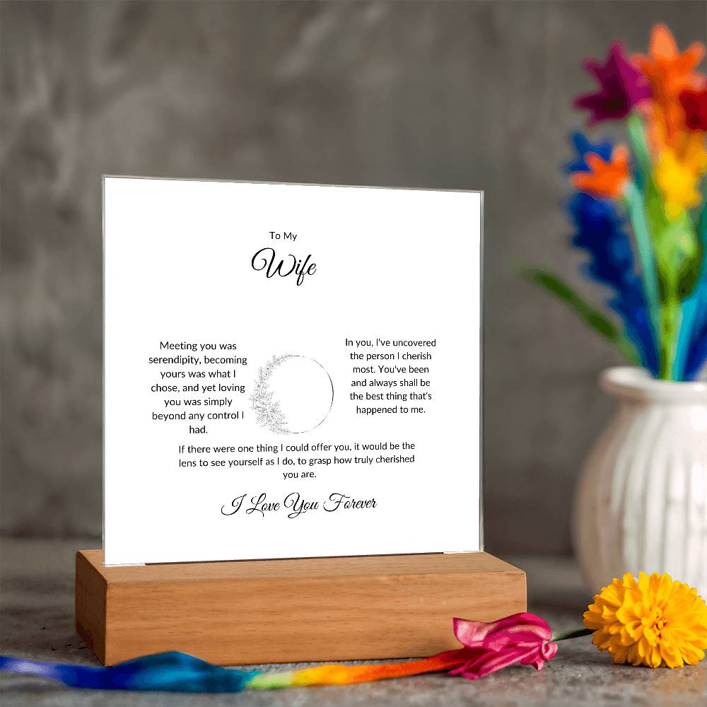 To My Wife Meeting You Was Serendipity Printed Square Shaped Acrylic Plaque-Express Your Love Gifts