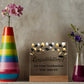 Graduation Congratulations You Did It! Printed Square Shaped Acrylic Plaque-Express Your Love Gifts