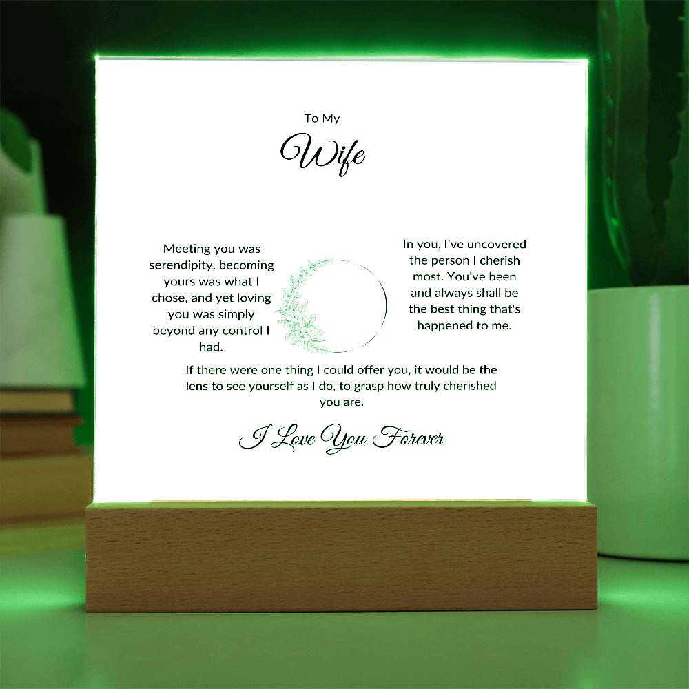 To My Wife Meeting You Was Serendipity Printed Square Shaped Acrylic Plaque-Express Your Love Gifts