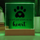 Paw Print Printed Square Shaped Acrylic Plaque-Express Your Love Gifts