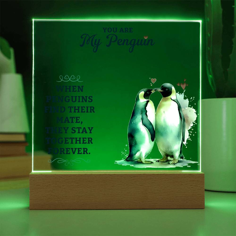 To My Man You are My Penguin Printed Square Shaped Acrylic Plaque-Express Your Love Gifts