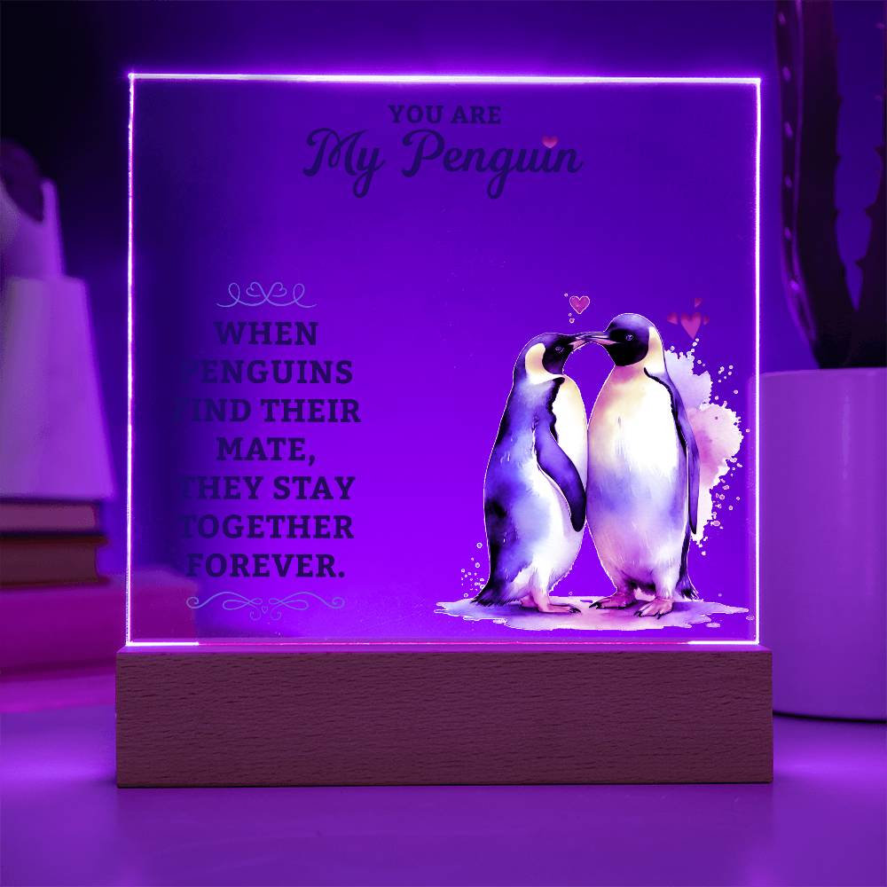 To My Man You are My Penguin Printed Square Shaped Acrylic Plaque-Express Your Love Gifts