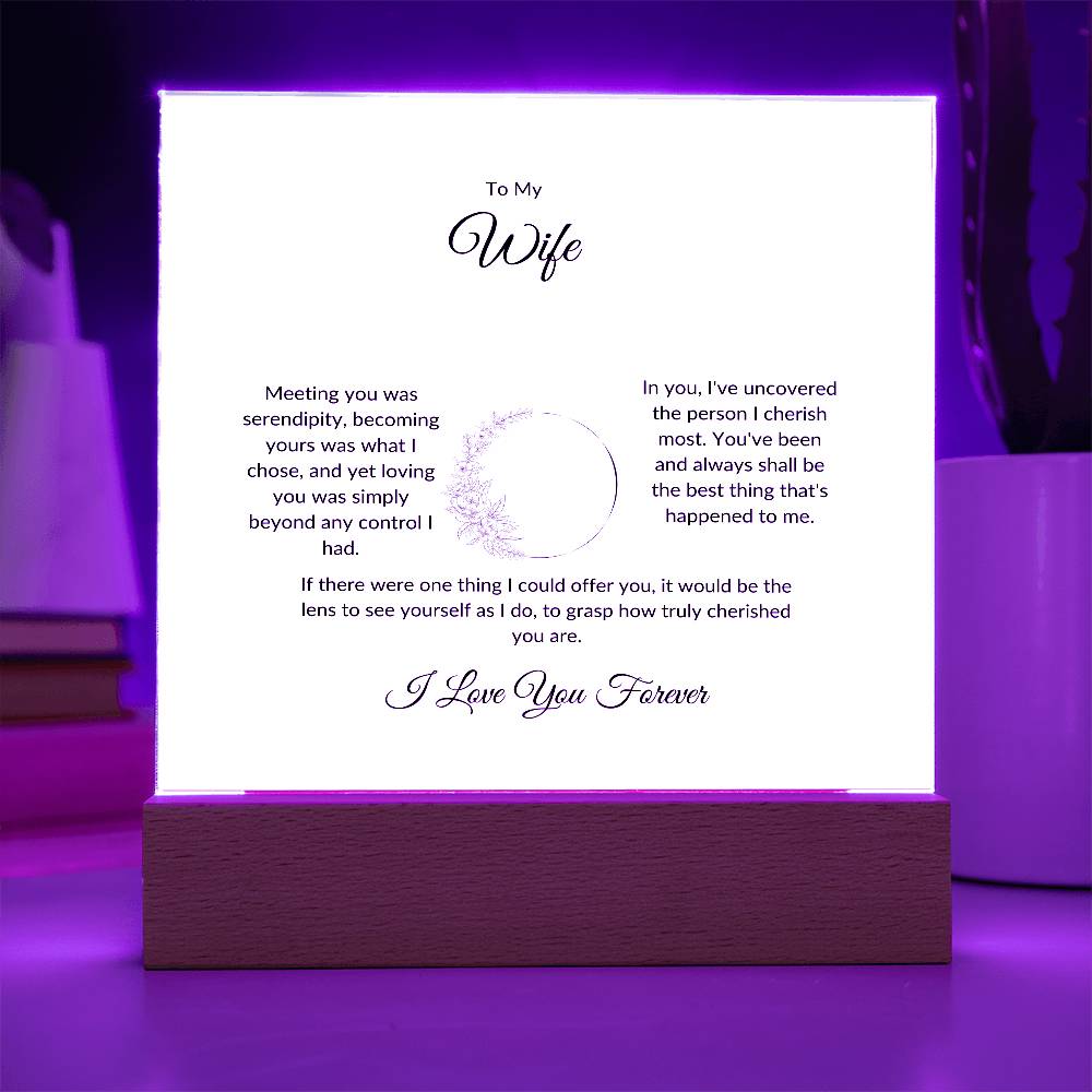 To My Wife Meeting You Was Serendipity Printed Square Shaped Acrylic Plaque-Express Your Love Gifts