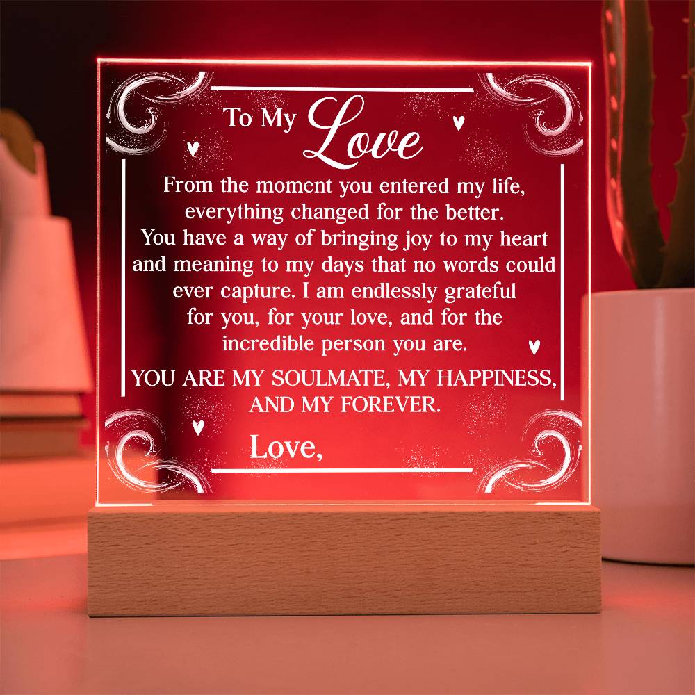 Personalized You Are My Soulmate Printed Square Shaped Acrylic Plaque-Express Your Love Gifts
