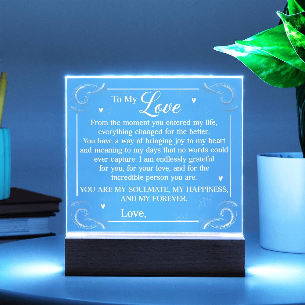 Personalized You Are My Soulmate Printed Square Shaped Acrylic Plaque-Express Your Love Gifts
