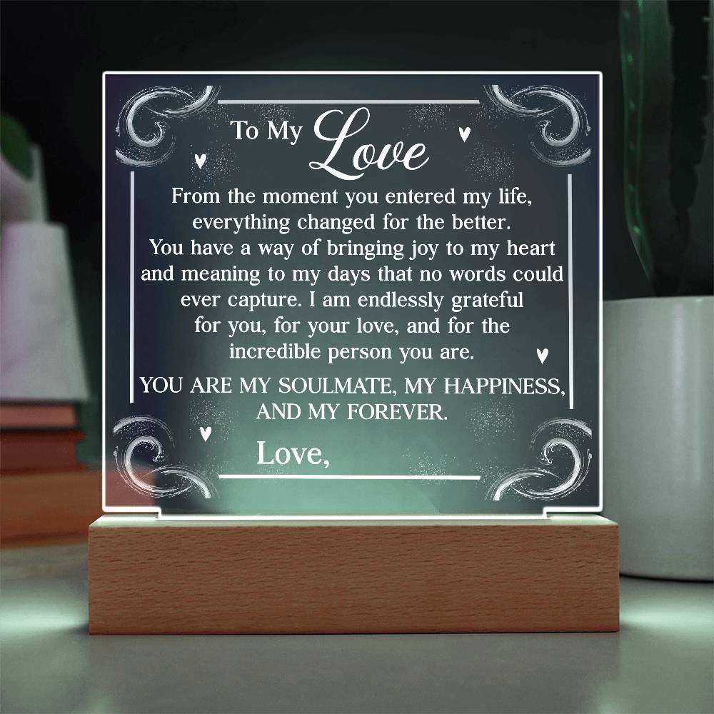 Personalized You Are My Soulmate Printed Square Shaped Acrylic Plaque-Express Your Love Gifts