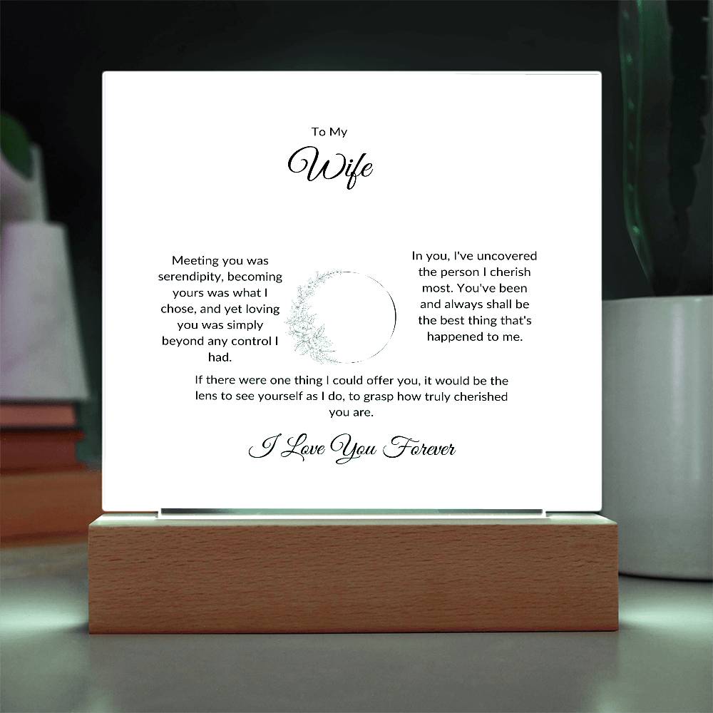To My Wife Meeting You Was Serendipity Printed Square Shaped Acrylic Plaque-Express Your Love Gifts