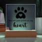 Paw Print Printed Square Shaped Acrylic Plaque-Express Your Love Gifts