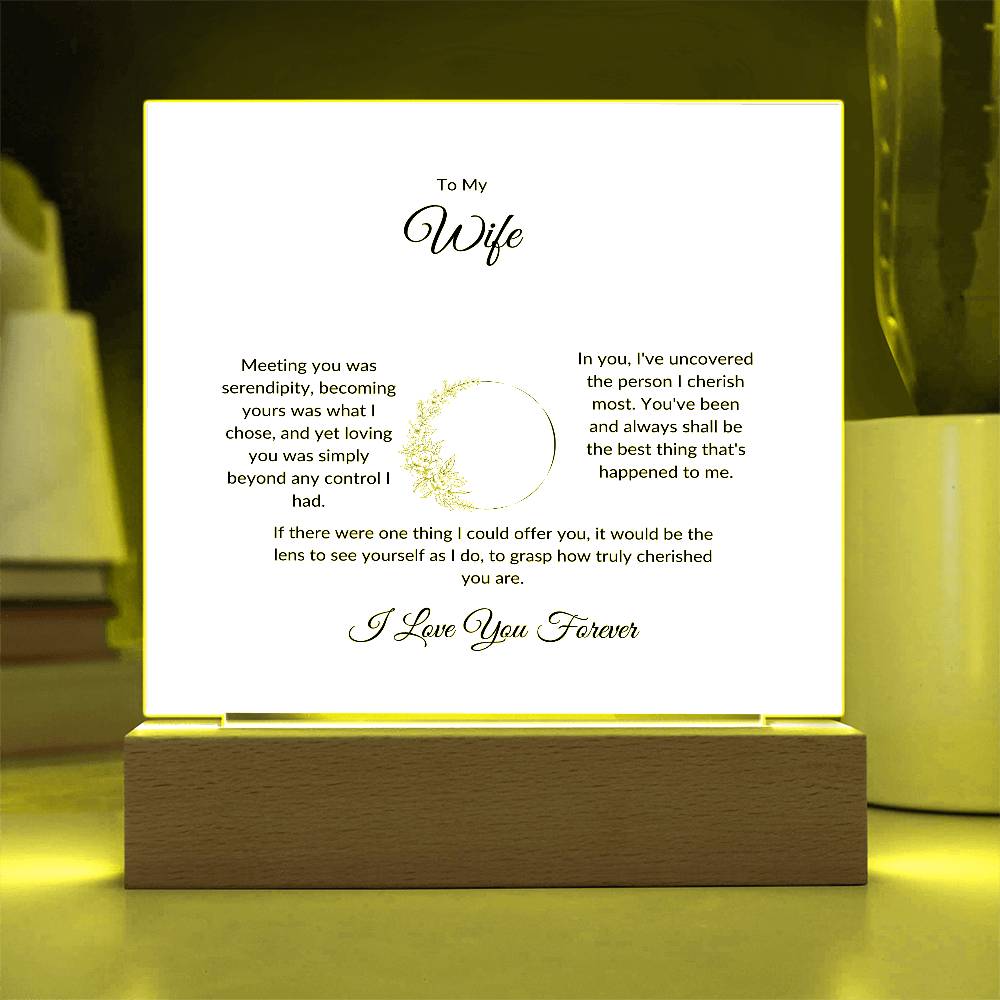 To My Wife Meeting You Was Serendipity Printed Square Shaped Acrylic Plaque-Express Your Love Gifts