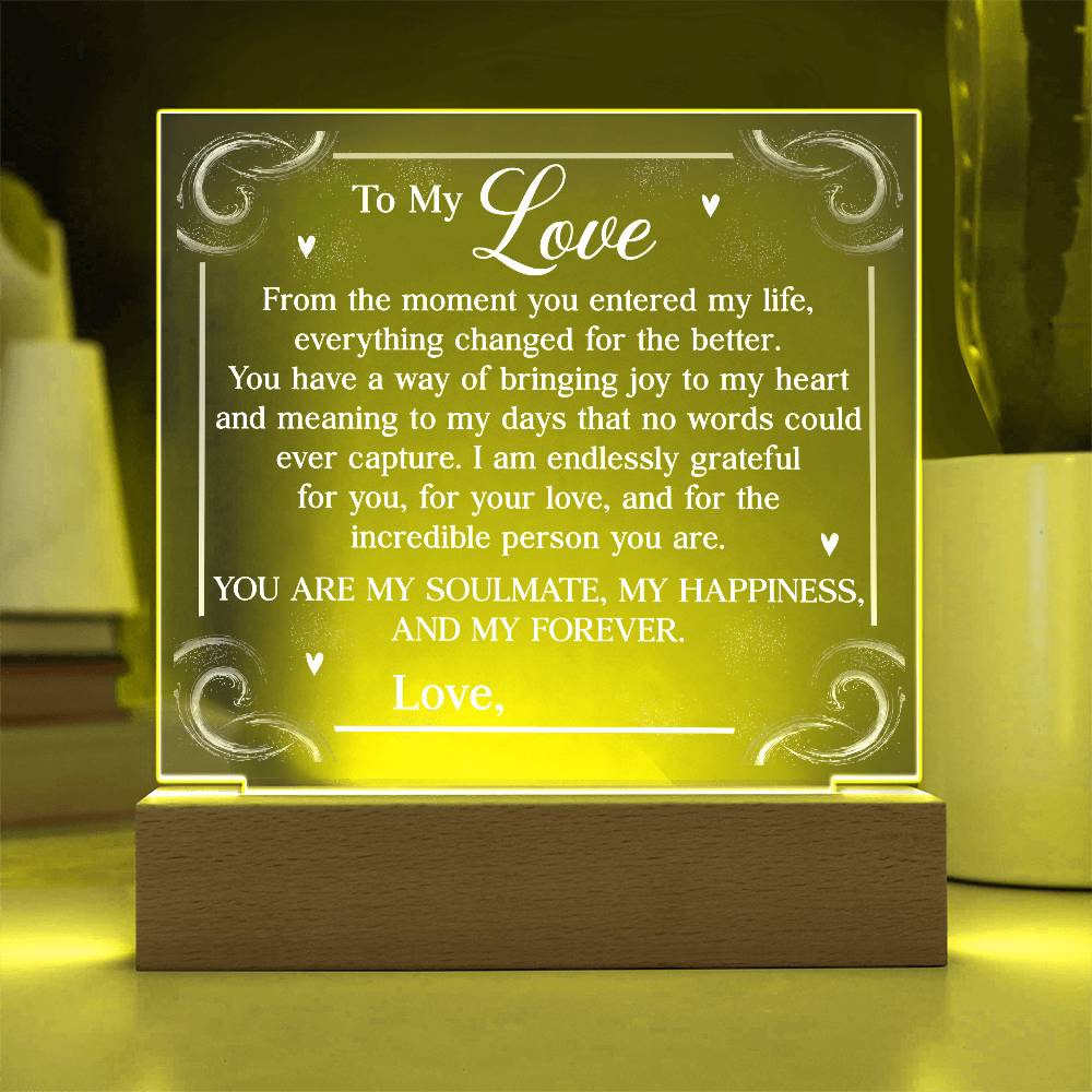 Personalized You Are My Soulmate Printed Square Shaped Acrylic Plaque-Express Your Love Gifts