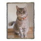 Personlaized Upload Your Own Portrait Heirloom Photo Woven Blanket-Express Your Love Gifts