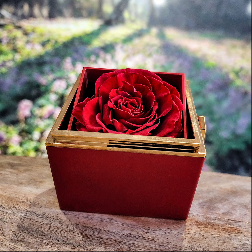 To My Granddaughter – Braver, Stronger, Smarter Love Knot Necklace with Rotating Rose Box-Express Your Love Gifts