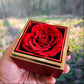 To My Granddaughter – I Believe in You Love Knot Necklace with Rotating Rose Box-Express Your Love Gifts