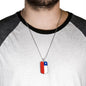 Chile Flag Dog Tag Necklace Chile Flag Stainless Steel or 18k Gold Dog Tag 24" - Express Your Love Gifts