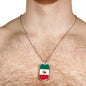 Mexico Flag Necklace Stainless Steel or 18k Gold Dog Tag 24" Chain-Express Your Love Gifts