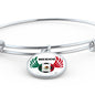 Mexico Futbol/Soccer Stainless Steel or 18k Gold Circle Bangle Bracelet - Express Your Love Gifts