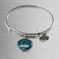 Philadelphia Football Philly Fan Stainless Steel or 18k Gold Circle Bangle Bracelet - Express Your Love Gifts