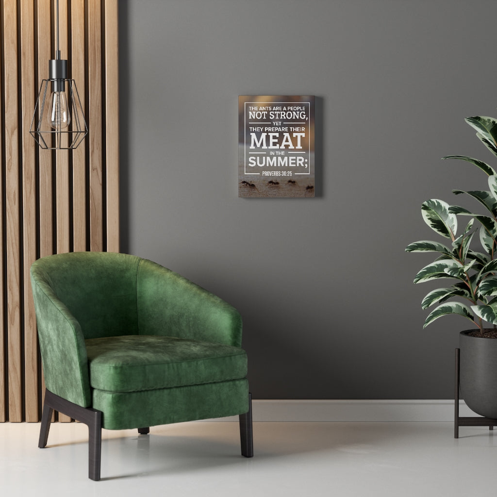 Scripture WallsAnt Preperation Proverbs 30:25 Wall Art Christian Home Decor - Express Your Love Gifts
