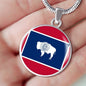 Wyoming State Flag Necklace Stainless Steel or 18k Gold Circle Pendant 18-22" - Express Your Love Gifts