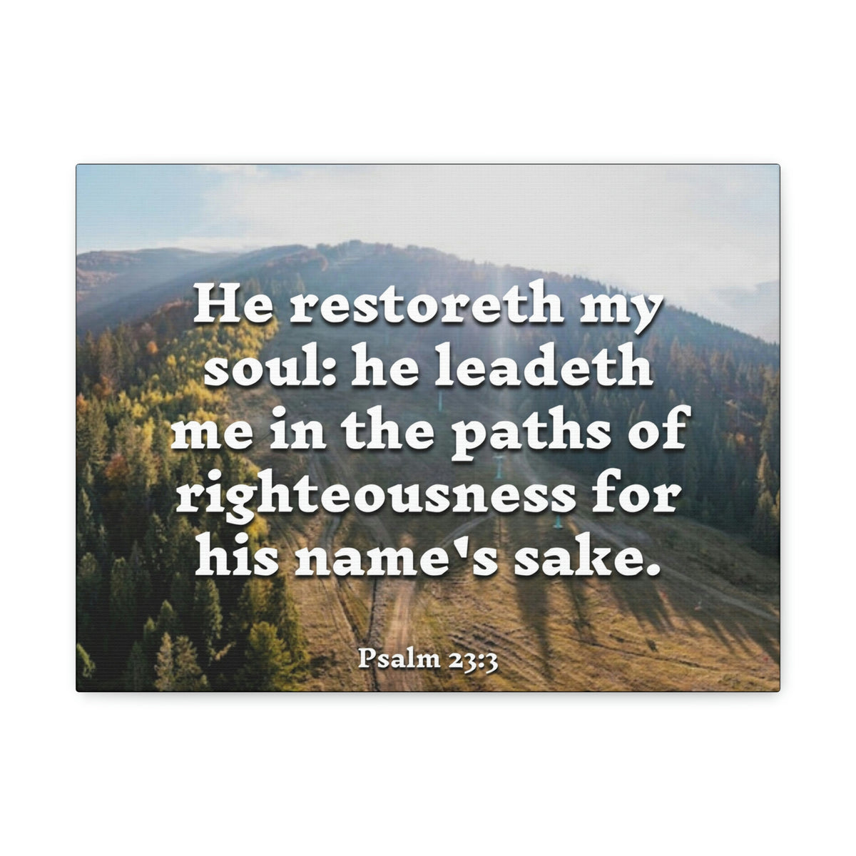 Scripture Walls Paths Of Righteousness Psalm 23:3 Christian Wall Art Bible Verse Print Ready to Hang-Express Your Love Gifts