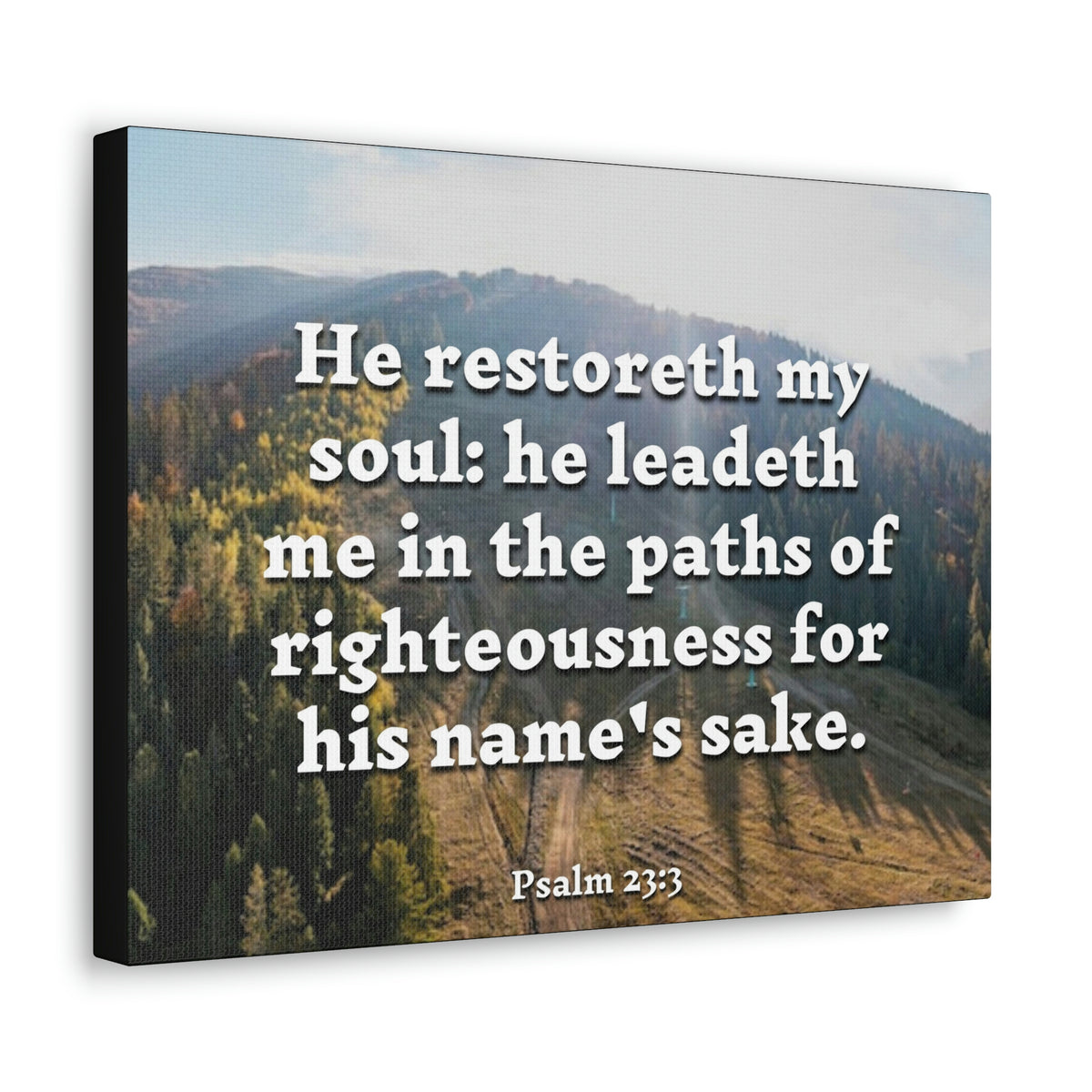 Scripture Walls Paths Of Righteousness Psalm 23:3 Christian Wall Art Bible Verse Print Ready to Hang-Express Your Love Gifts