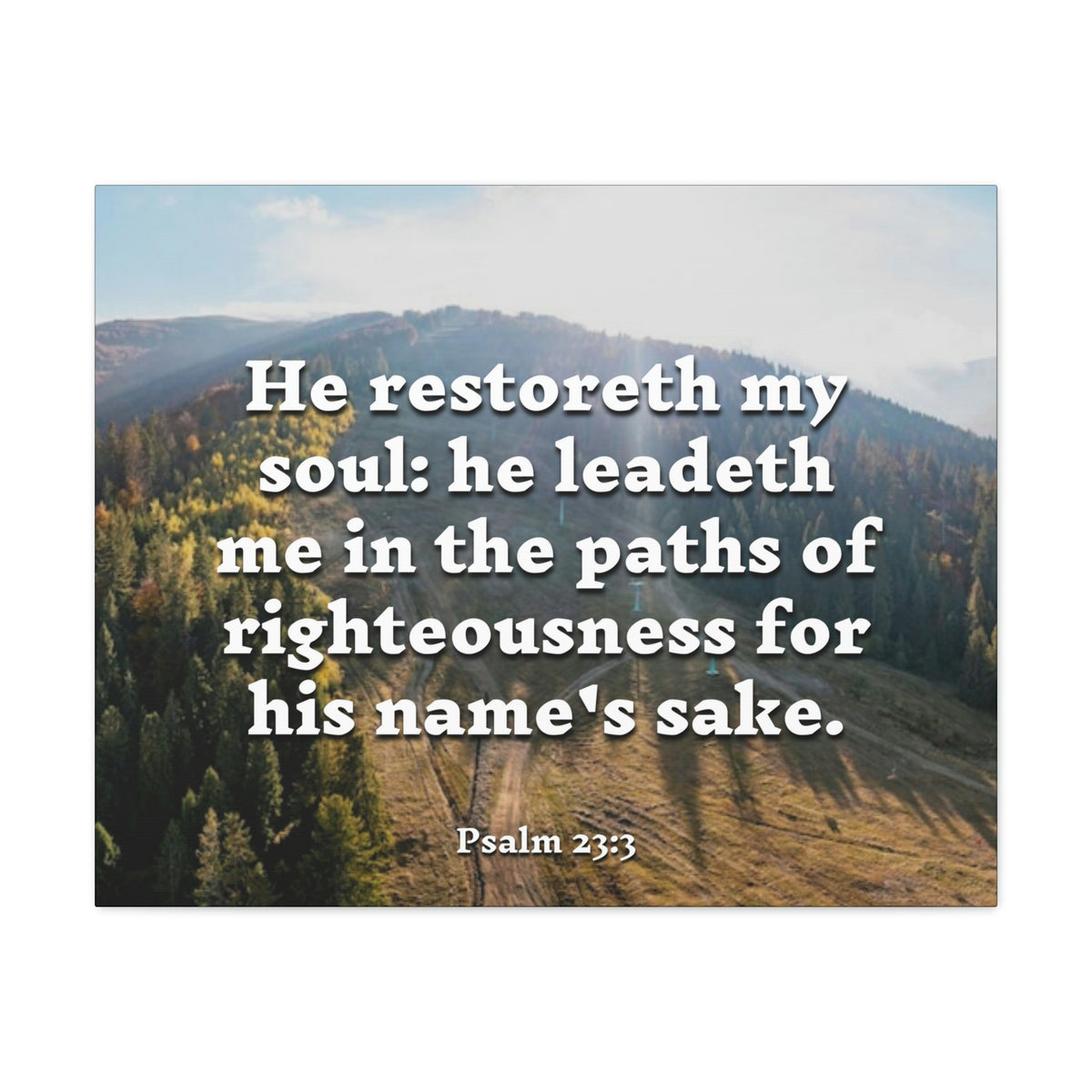 Scripture Walls Paths Of Righteousness Psalm 23:3 Christian Wall Art Bible Verse Print Ready to Hang-Express Your Love Gifts