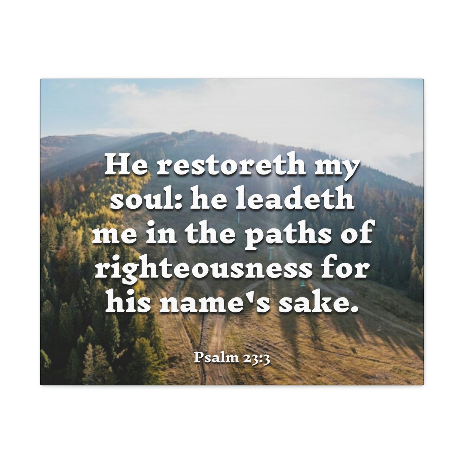 Scripture Walls Paths Of Righteousness Psalm 23:3 Christian Wall Art Bible Verse Print Ready to Hang-Express Your Love Gifts