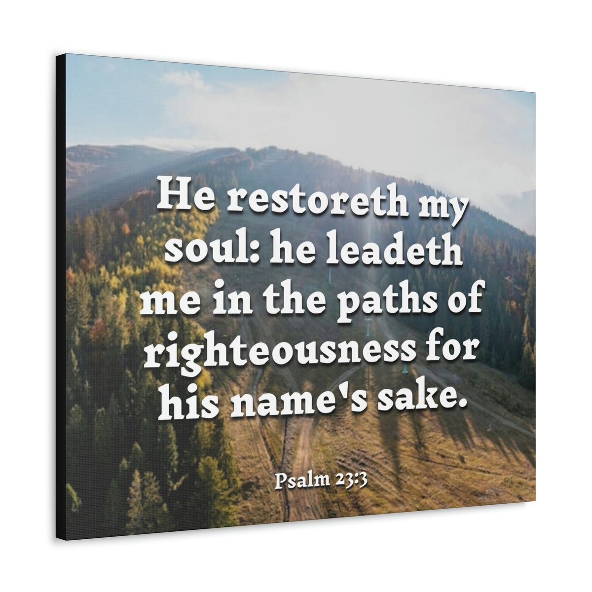 Scripture Walls Paths Of Righteousness Psalm 23:3 Christian Wall Art Bible Verse Print Ready to Hang-Express Your Love Gifts