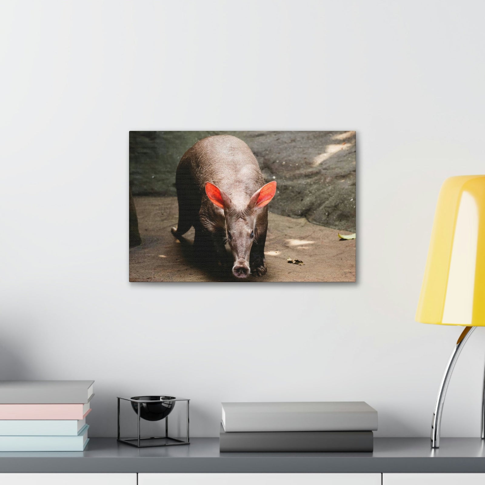 Aardvark On The Move Staring Aardvark Outdoor Wall Art Ready to Hang Unframed-Express Your Love Gifts
