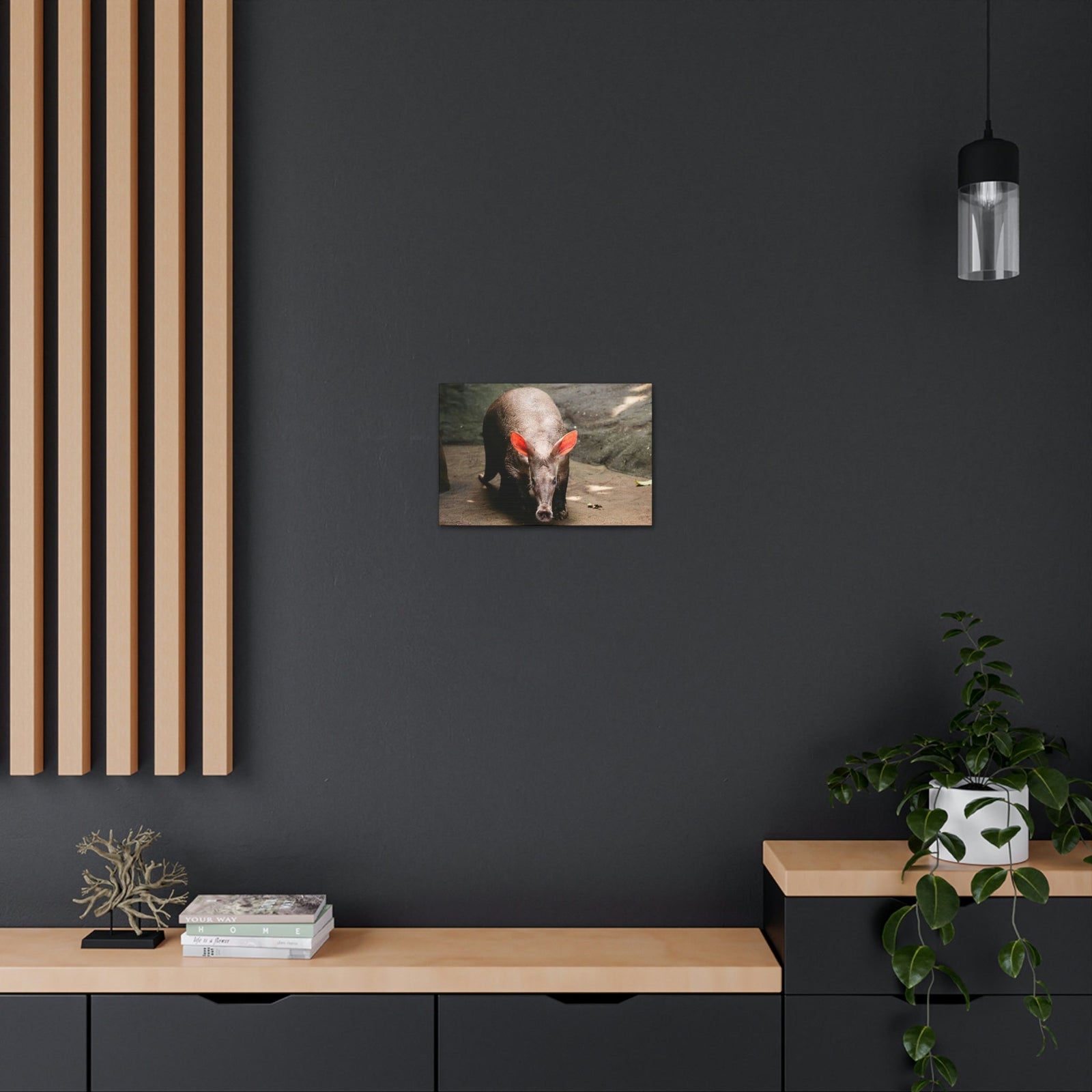 Aardvark On The Move Staring Aardvark Outdoor Wall Art Ready to Hang Unframed-Express Your Love Gifts