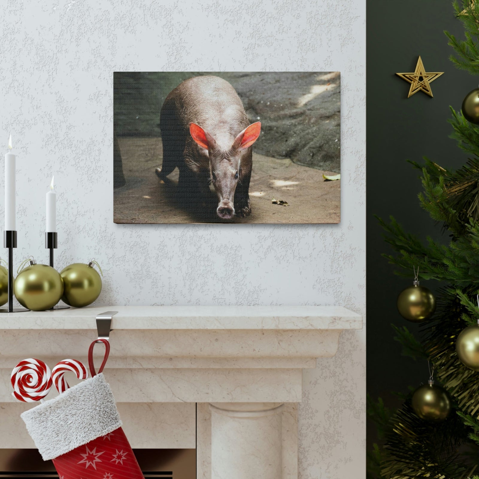 Aardvark On The Move Staring Aardvark Outdoor Wall Art Ready to Hang Unframed-Express Your Love Gifts