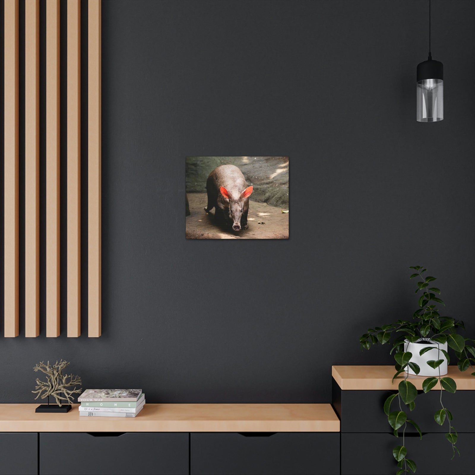 Aardvark On The Move Staring Aardvark Outdoor Wall Art Ready to Hang Unframed-Express Your Love Gifts