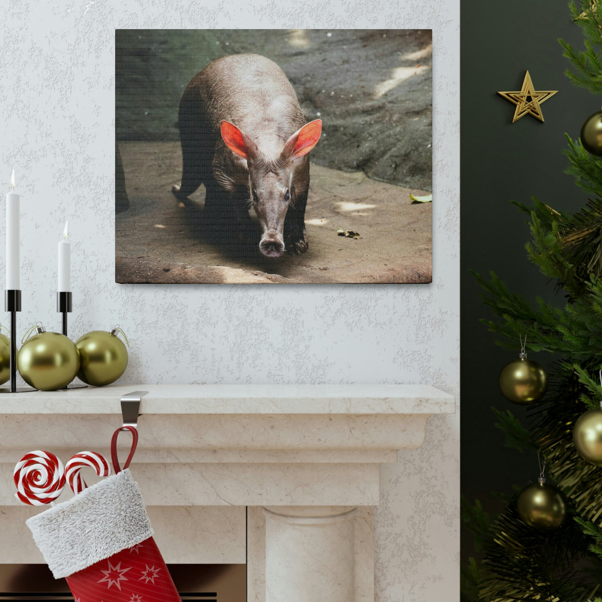 Aardvark On The Move Staring Aardvark Outdoor Wall Art Ready to Hang Unframed-Express Your Love Gifts