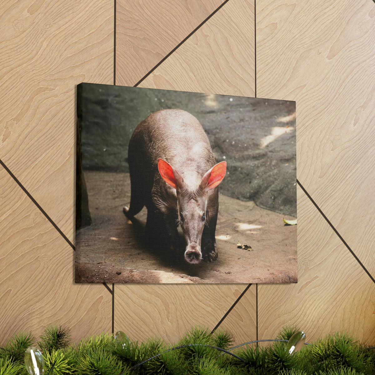 Aardvark On The Move Staring Aardvark Outdoor Wall Art Ready to Hang Unframed-Express Your Love Gifts