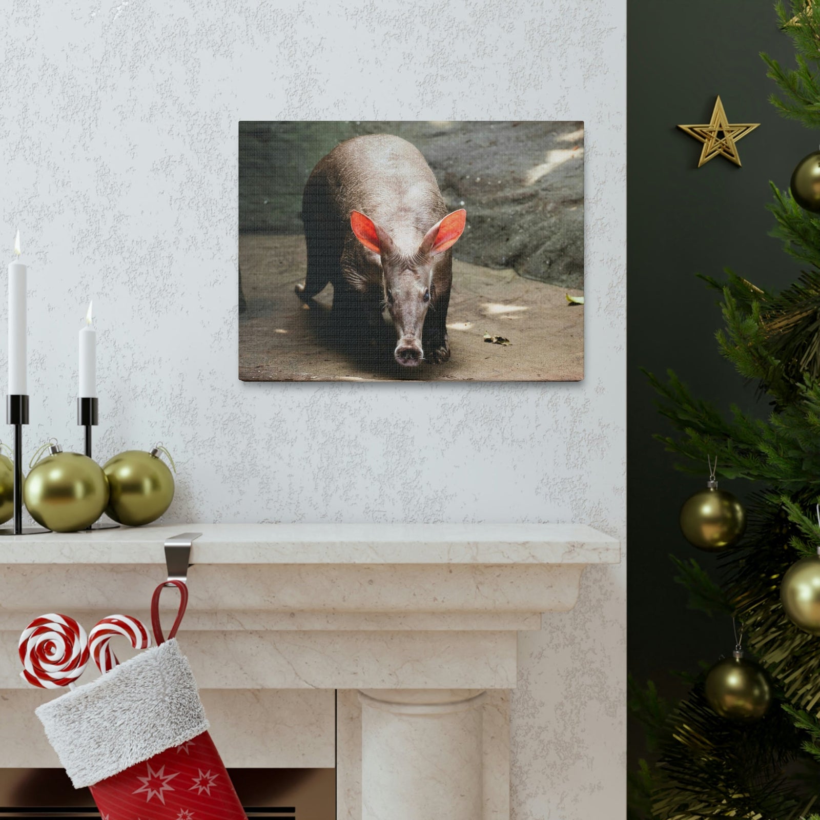Aardvark On The Move Staring Aardvark Outdoor Wall Art Ready to Hang Unframed-Express Your Love Gifts