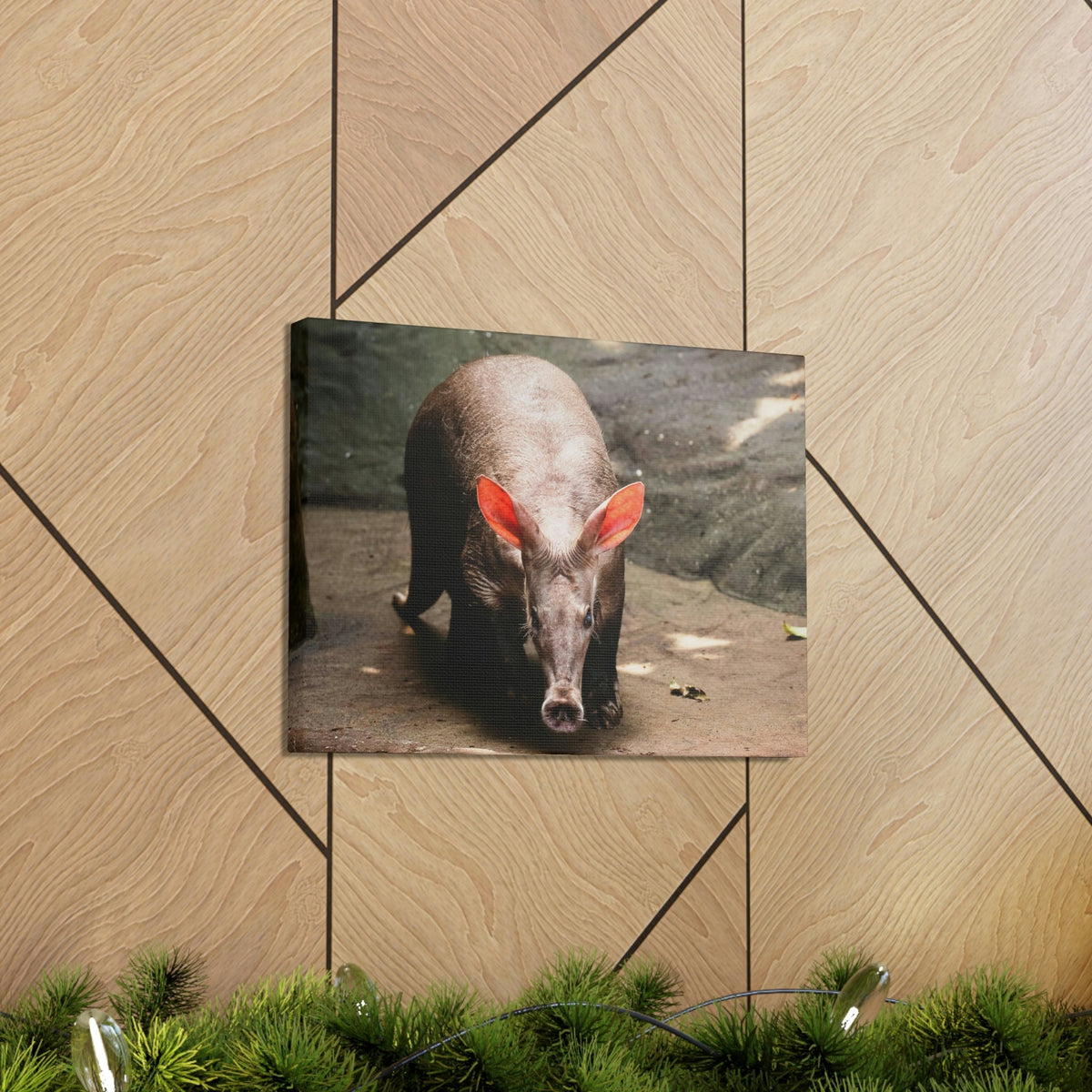 Aardvark On The Move Staring Aardvark Outdoor Wall Art Ready to Hang Unframed-Express Your Love Gifts