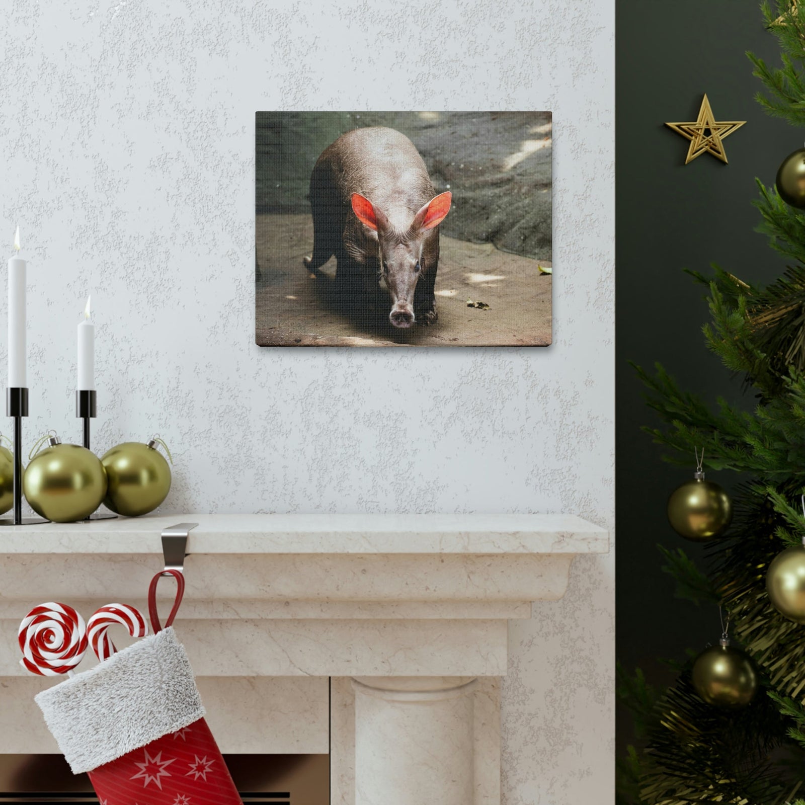 Aardvark On The Move Staring Aardvark Outdoor Wall Art Ready to Hang Unframed-Express Your Love Gifts
